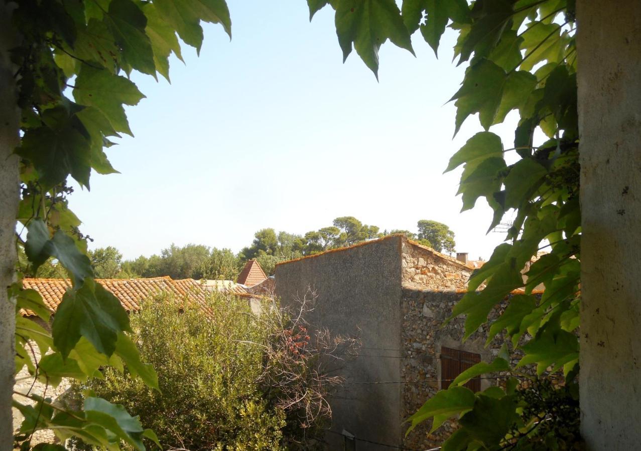 Logis De La Meschaussee, Dans Donjon Du Xie Siecle Canet  Экстерьер фото