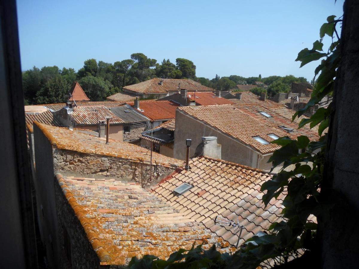 Logis De La Meschaussee, Dans Donjon Du Xie Siecle Canet  Экстерьер фото